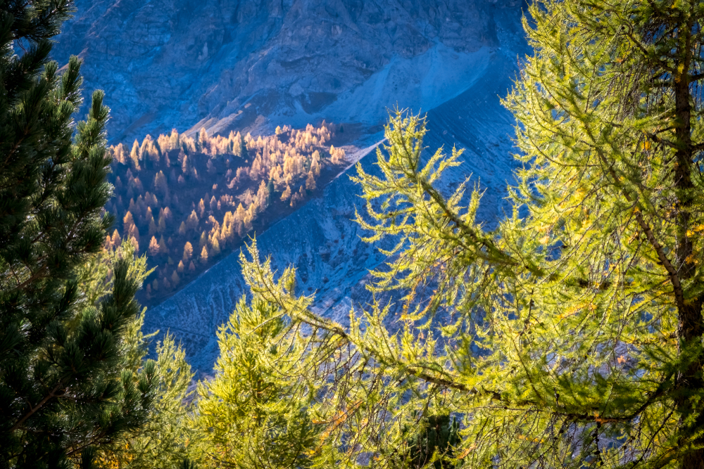 Stelvio, parco nazionale